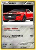 Mustang Mustang