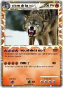 chien de la