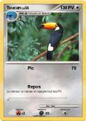 Toucan