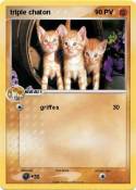 triple chaton