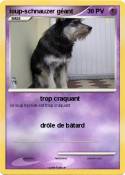 loup-schnauzer
