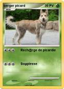 berger picard