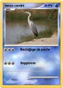 heron cendré