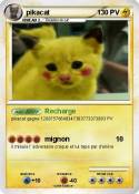 pikacat