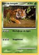 tigre du