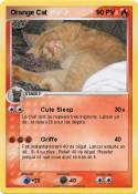 Orange Cat