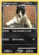 chat faire un