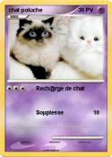chat poluche