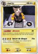 chat DJ chat DJ