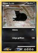 fripon 2