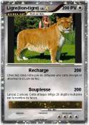 Ligre(lion-tigre)