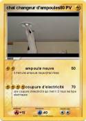 chat changeur
