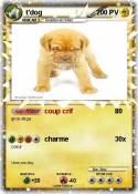 t'dog