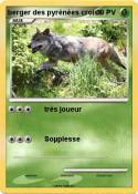 berger des