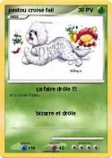 pastou croisé fail pastou croisé