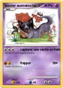 bouvier