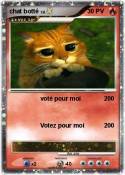 chat botté