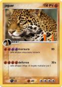 jaguar