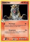 TIGRE FEU