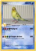 Copo