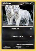 bébé tigre