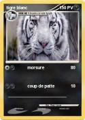 tigre blanc