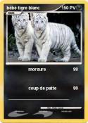 bébé tigre