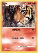 tigre