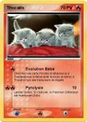 Triocatis