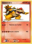 bowser niv x