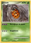 cocinelle