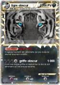 tigre obscur 2