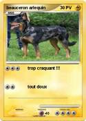 beauceron