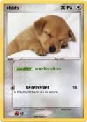 chiots