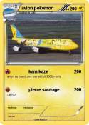 avion pokémon