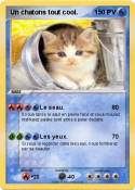 Un chatons tout cool. Un chatons tout
