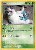chat 