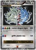 dragon et tigre