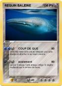 REQUIN BALEINE 