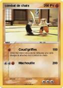combat de chats