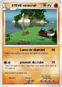 STEVE minecraft