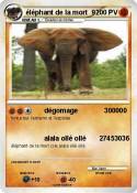 éléphant de