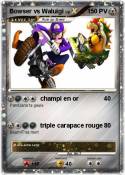Bowser vs