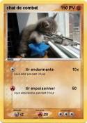 chat de combat