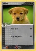  chien