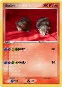 chaton