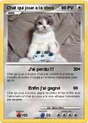 Chat qui joue a