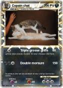 Copain chat