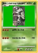 Bob ( chat-loup