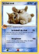 le chat modi le chat modi